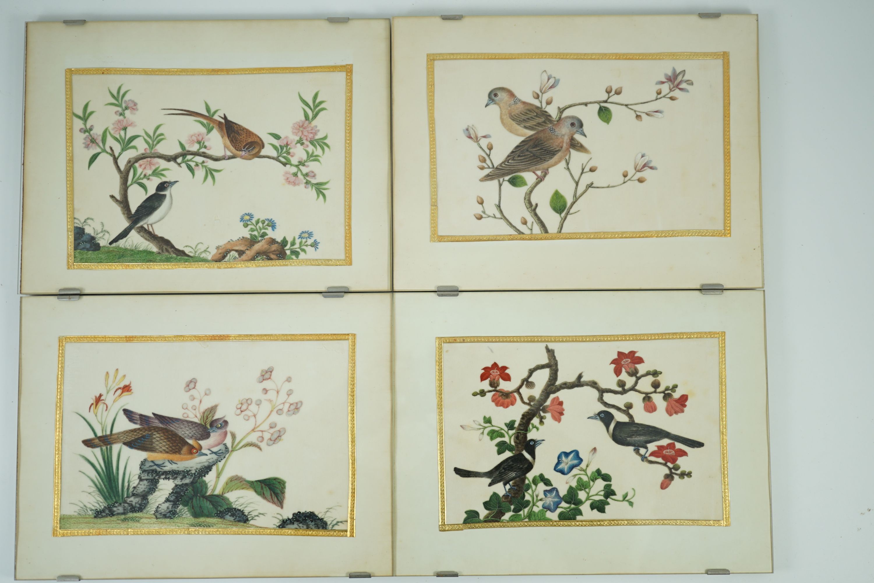 A set of 16 Chinese pith paintings of birds and flowers, mid 19th century, Largest Image 12cm x 18cm